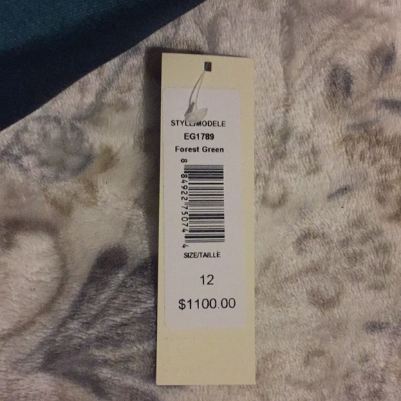 Badgley-Mischka Ball Gown Forest Green - Picture 2 of 5